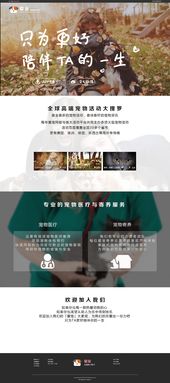 潛子寵物 一個(gè)以愛(ài)為名的企業(yè)官網(wǎng)設(shè)計(jì)之旅